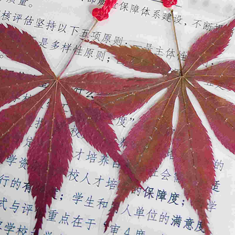 Foi de laminare Film Puncte auto Foaie de laminare Hârtie Laminator foto Laminator termic Rula la rece Imagine clară Sigilare Birou