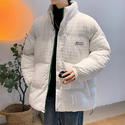 Vyriška žieminė striukė aukšta apykakle kelių modelių su užrašu