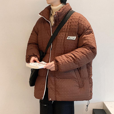 Vyriška žieminė striukė aukšta apykakle kelių modelių su užrašu