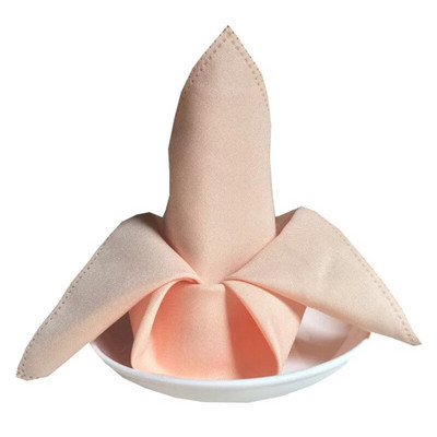 10 komada 48 x 48 cm obične poliesterske salvete za stol Platnene maramice za večeru Podmetači za hotelske salvete za vjenčanje