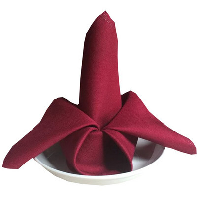 10 komada 48 x 48 cm obične poliesterske salvete za stol Platnene maramice za večeru Podmetači za hotelske salvete za vjenčanje