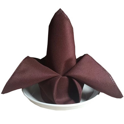 10 komada 48 x 48 cm obične poliesterske salvete za stol Platnene maramice za večeru Podmetači za hotelske salvete za vjenčanje