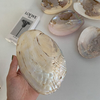 Nordic Ins Pearl Shell Δίσκος Γάμου Μακιγιάζ Μπάνιου Δίσκος αποθήκευσης κοσμημάτων Μπιμπελό Αρώματα Καλλυντικά Διακοσμητικοί Δίσκοι διακόσμηση σπιτιού