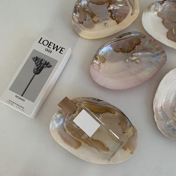 Chic Shell Storage Tray for Jewelry Cosmetic Perfume Nordic Lipstick Eyeshadow Organizer Makeup Organizer INS Earrings Display Photo Prop