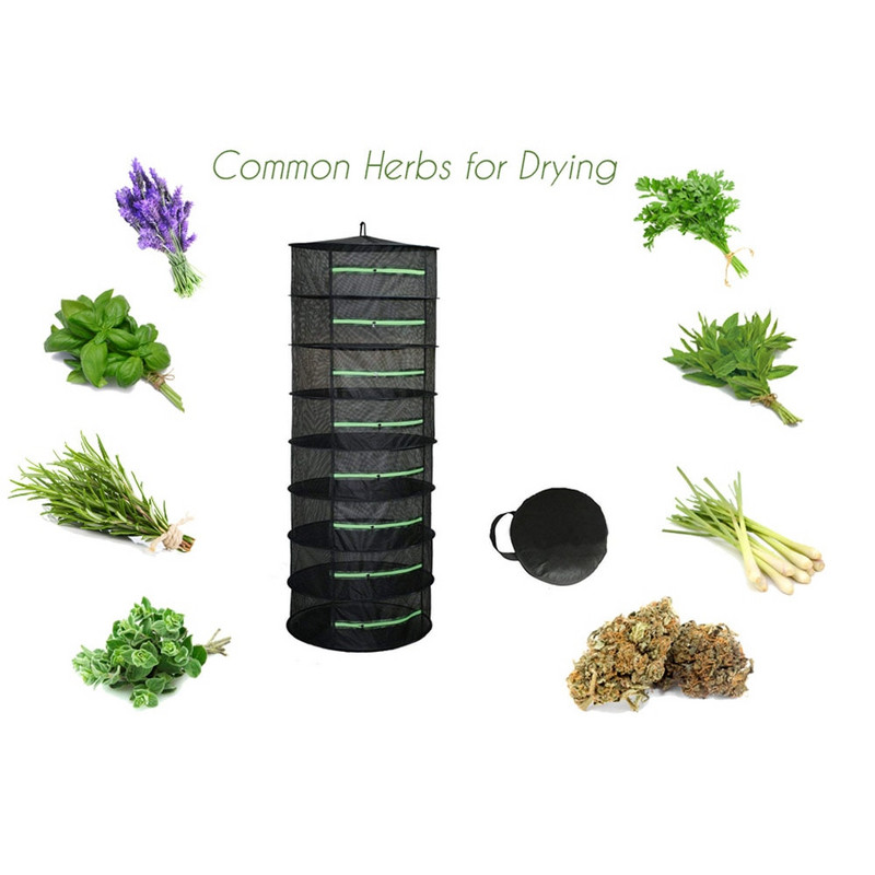 2–8 sluoksnių džiovinimo tinklelis žolelėms Žuvis Kabantis Krepšelis Sulankstomas sausas stelažas Žolelių daržovių džiovintuvo krepšys Tinklelis Gėlės pumpurai Augalai Organizatorius