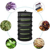 Rétegek szárítóháló gyógynövényekhez Függő kosár Összehajtható szárítóállvány Gyógynövény szárítóháló szárítótáska háló virágokhoz Rügyek Növényrendező