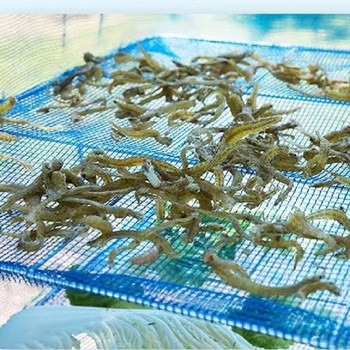 Мрежа за сушене на риба Домашна сгъваема мрежа за сушене Сушене на риба Сушене на солени зеленчуци Сушене на рибни съдове Мрежа за сушене Клетка Органайзер за растения