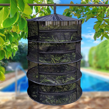 Κλείσιμο βοτανικό δίχτυ στεγνώματος με φερμουάρ Περιβαλλοντική προστασία Πτυσσόμενο καλάθι ρούχων με πλέγμα αποθήκευσης
