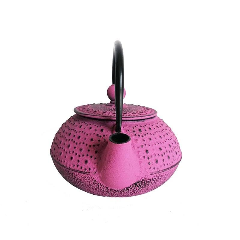 800 ML японски емайлиран чугунен чайник с цедка Tetsubin Чайник за вряща вода Декорация Орнамент