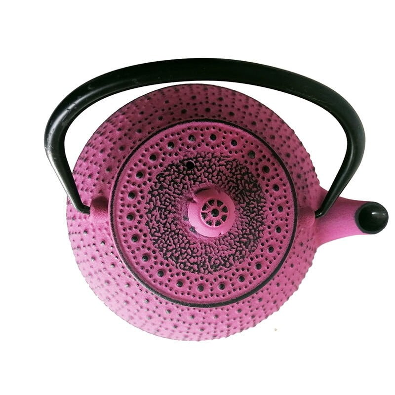 800 ML японски емайлиран чугунен чайник с цедка Tetsubin Чайник за вряща вода Декорация Орнамент