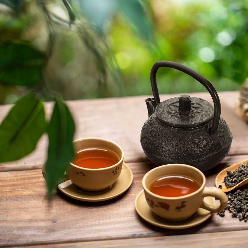 Τσαγιέρα Βραστήρας τσαγιού Ιαπωνικό Σετ Σιδερένιο Χυτό Κατσαρόλα Κινέζικη Mini Σόμπα Tetsubin Νερό Χαλαρή εστία Vintage Βρασμός Μικρό