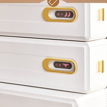 Επιτοίχια κιλότα Κάλτσες Συρτάρι αποθήκευσης Ετικέτα ταξινόμησης 5 πλέγματα Εσώρουχα Organizers Σουτιέν Ντουλάπα No-Division Storage Box