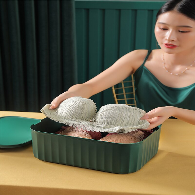 Apatinių drabužių laikymo dėžė Buitinė bendrabučio drabužių spinta kelnaitės kojinės saugojimas artefaktų liemenėlės organizatorius