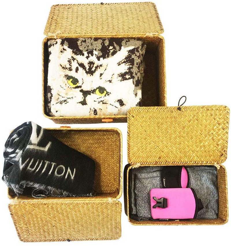 Κουτί αποθήκευσης με χειροποίητο ύφασμα Seagrass Multisisize με καπάκι Ψάθινο κουτί καλαθιού Οργάνωση επιτραπέζιου μακιγιάζ Οργανωτή δοχείων πολλαπλών χρήσεων