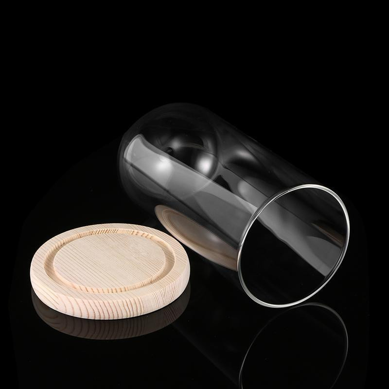 Stiklinis dangtelis kupolas gėlių stiklainis varpelis Cloche permatomas vitrina pagrindiniam stovui Knygų kupolai Žvakių stalo centrinė Kalėdų detalė