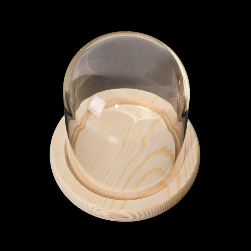 Terraariumipudel puidust aluse akrüülist tolmukattega Immortal Flower Box Klaasist Cloche Jar Vitriin Statiivi kaanega Näidikast