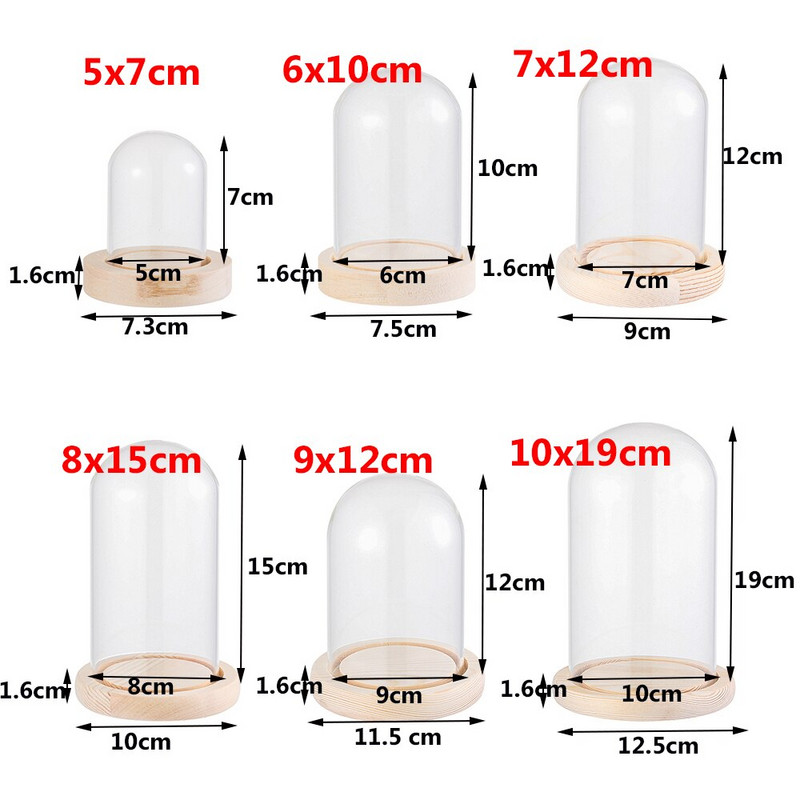 Terraariumipudel puidust aluse akrüülist tolmukattega Immortal Flower Box Klaasist Cloche Jar Vitriin Statiivi kaanega Näidikast