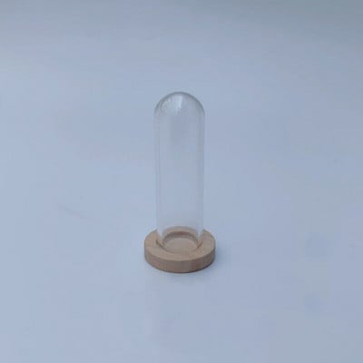 5X moderna ručno izrađena staklena kupola navlaka za suho cvijeće vaza s drvenom bazom Landcrape figurice Prikaz modela Umjetničko djelo Kuća za lutke Igračka