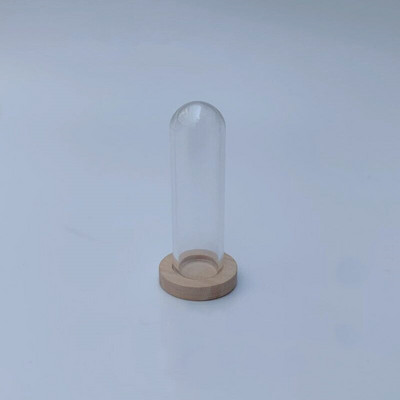 5X moderna ručno izrađena staklena kupola navlaka za suho cvijeće vaza s drvenom bazom Landcrape figurice Prikaz modela Umjetničko djelo Kuća za lutke Igračka