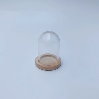 5X moderna ručno izrađena staklena kupola navlaka za suho cvijeće vaza s drvenom bazom Landcrape figurice Prikaz modela Umjetničko djelo Kuća za lutke Igračka