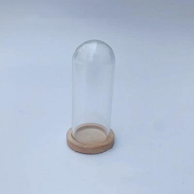 5X moderna ručno izrađena staklena kupola navlaka za suho cvijeće vaza s drvenom bazom Landcrape figurice Prikaz modela Umjetničko djelo Kuća za lutke Igračka