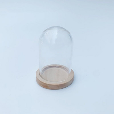 5X moderna ručno izrađena staklena kupola navlaka za suho cvijeće vaza s drvenom bazom Landcrape figurice Prikaz modela Umjetničko djelo Kuća za lutke Igračka