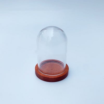 5X moderna ručno izrađena staklena kupola navlaka za suho cvijeće vaza s drvenom bazom Landcrape figurice Prikaz modela Umjetničko djelo Kuća za lutke Igračka