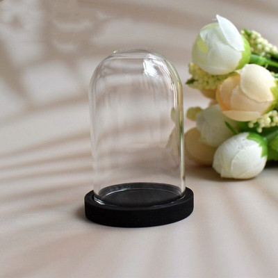 5X moderna ručno izrađena staklena kupola navlaka za suho cvijeće vaza s drvenom bazom Landcrape figurice Prikaz modela Umjetničko djelo Kuća za lutke Igračka