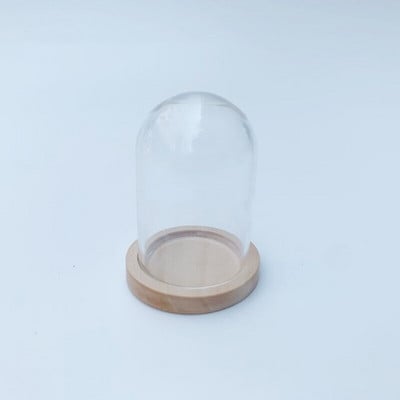 5X moderna ručno izrađena staklena kupola navlaka za suho cvijeće vaza s drvenom bazom Landcrape figurice Prikaz modela Umjetničko djelo Kuća za lutke Igračka