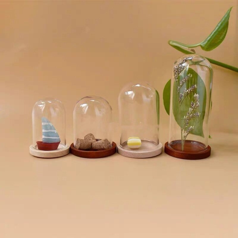 5X moderna ručno izrađena staklena kupola navlaka za suho cvijeće vaza s drvenom bazom Landcrape figurice Prikaz modela Umjetničko djelo Kuća za lutke Igračka