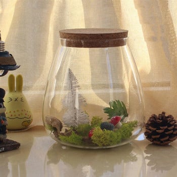 Glasscork Terrarium Bottle Bottle Bottlesjars Clear Lid Διακοσμητικά Καπάκια Γλαστροδοχεία Ζουμερά Ξύλινα Δοχεία Πώματα Μπολ