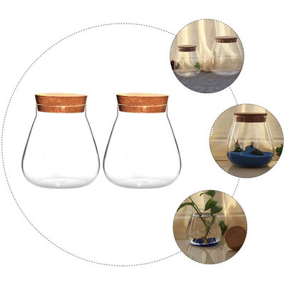 Glasscork Terariumas Butelių Stiklainis Butelių stiklainiai Skaidrūs dangčiai Dekoratyviniai dangteliai Vazonų sodintuvas Sultingi Mediniai Tarai Kamščiai Dubuo