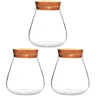 Glasscork Terariumas Butelių Stiklainis Butelių stiklainiai Skaidrūs dangčiai Dekoratyviniai dangteliai Vazonų sodintuvas Sultingi Mediniai Tarai Kamščiai Dubuo