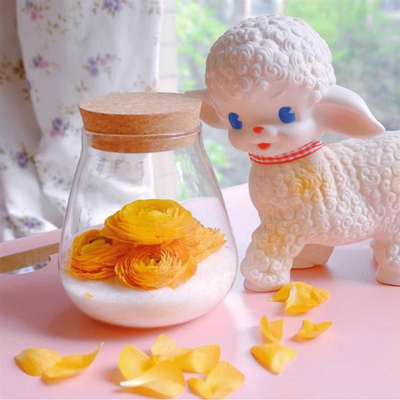 Glasscork Terariumas Butelių Stiklainis Butelių stiklainiai Skaidrūs dangčiai Dekoratyviniai dangteliai Vazonų sodintuvas Sultingi Mediniai Tarai Kamščiai Dubuo