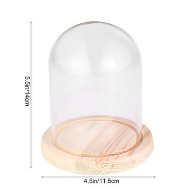 Üvegkupola fedél Virág átlátszó Cloche Bell Jarstand Plants Alaptok Kijelző Központi Karácsonyi Diy DomeMicro Eternal