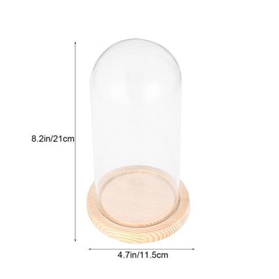 Üvegkupola fedél Virág átlátszó Cloche Bell Jarstand Plants Alaptok Kijelző Központi Karácsonyi Diy DomeMicro Eternal