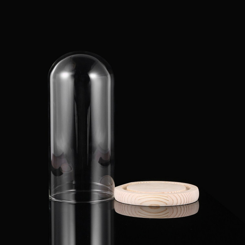 Üvegkupola fedél Virág átlátszó Cloche Bell Jarstand Plants Alaptok Kijelző Központi Karácsonyi Diy DomeMicro Eternal