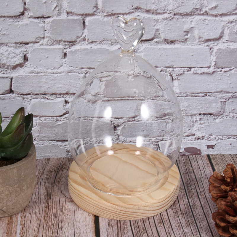 Cupolă de sticlă Display Cloche Borcan Cloș Mic bază din lemn Cloches Case Plante
