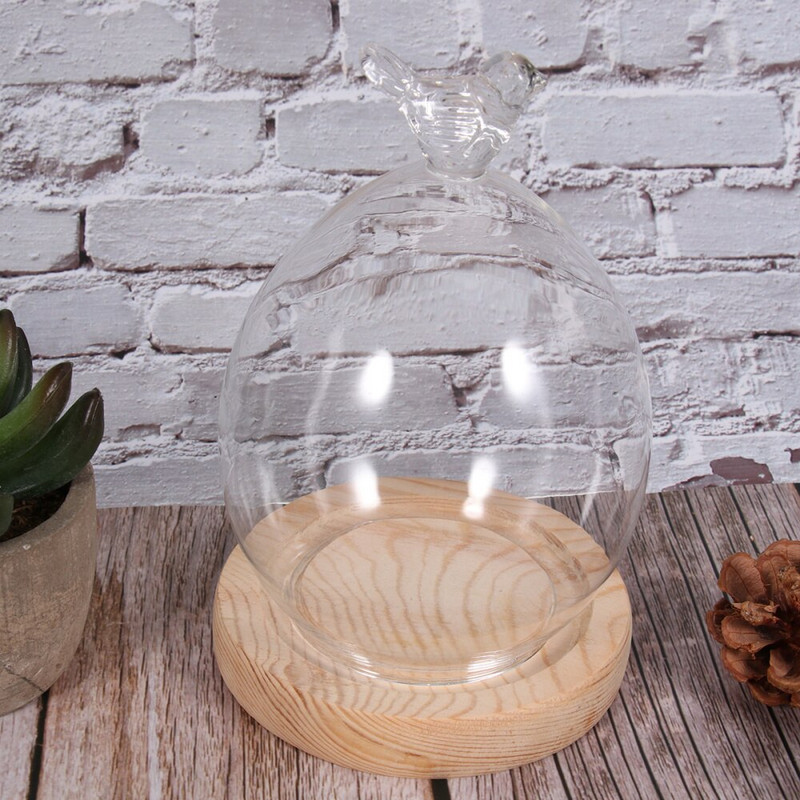Cupolă de sticlă Display Cloche Borcan Cloș Mic bază din lemn Cloches Case Plante