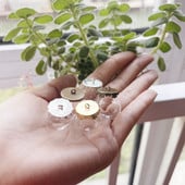 10X 20x15mm Mini tuščiaviduris apvalus stiklinis gaublys su dangteliu stiklinio burbulo dangtelio kupolas su norimo stiklo buteliuko buteliuko kaklo papuošalu