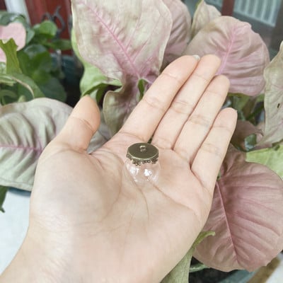 10X 20x15mm Mini tuščiaviduris apvalus stiklinis gaublys su dangteliu stiklinio burbulo dangtelio kupolas su norimo stiklo buteliuko buteliuko kaklo papuošalu