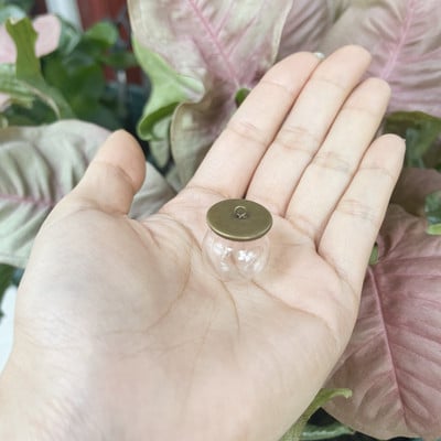 10X 20x15mm Mini tuščiaviduris apvalus stiklinis gaublys su dangteliu stiklinio burbulo dangtelio kupolas su norimo stiklo buteliuko buteliuko kaklo papuošalu