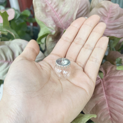 10X 20x15mm Mini tuščiaviduris apvalus stiklinis gaublys su dangteliu stiklinio burbulo dangtelio kupolas su norimo stiklo buteliuko buteliuko kaklo papuošalu