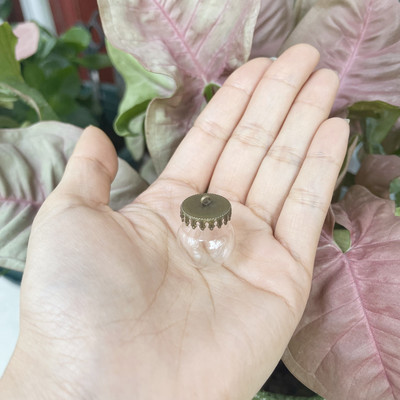 10X 20x15mm Mini tuščiaviduris apvalus stiklinis gaublys su dangteliu stiklinio burbulo dangtelio kupolas su norimo stiklo buteliuko buteliuko kaklo papuošalu