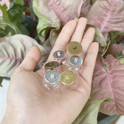 10X 20x15mm Mini tuščiaviduris apvalus stiklinis gaublys su dangteliu stiklinio burbulo dangtelio kupolas su norimo stiklo buteliuko buteliuko kaklo papuošalu