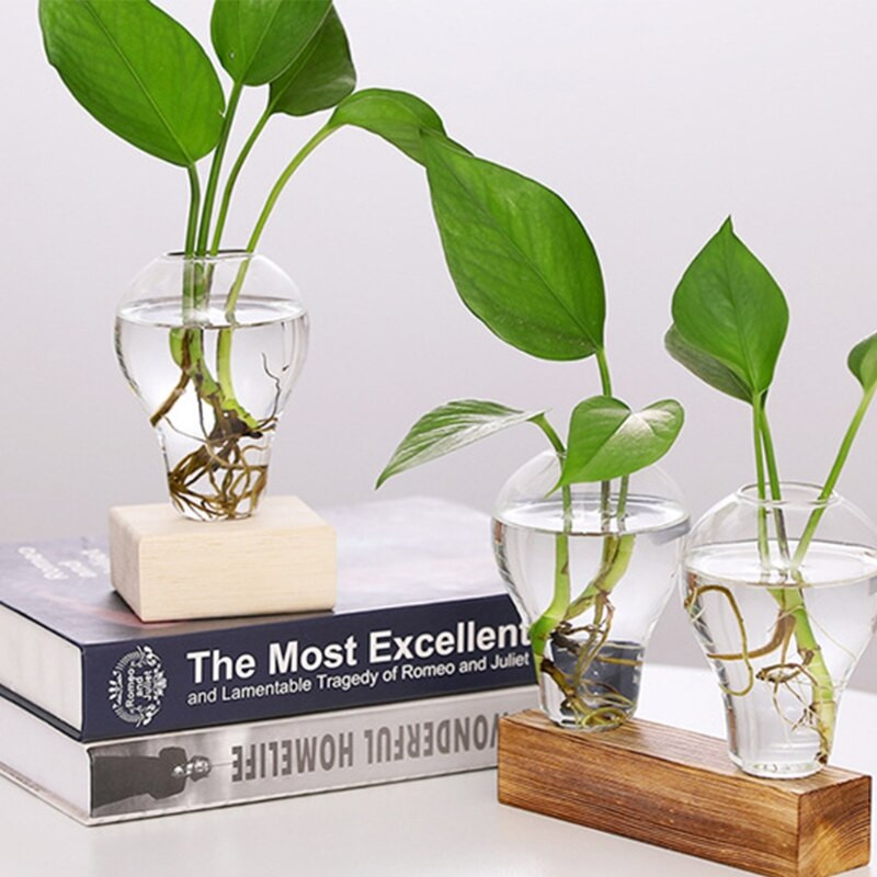 Stiklo sėjamoji su mediniu stovu Hidroponikos augalai Stalinis lemputė Terariumas Gėlių vaza Namų biuro dekoras