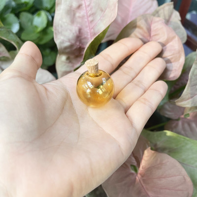 5 X mini krāsu spuldzes globuss, stikla burbulis, apaļa bumba ar korķi, DIY, dobi stikla lodītes, flakonu piekariņi, atslēgu piekariņi, rotaslietas.