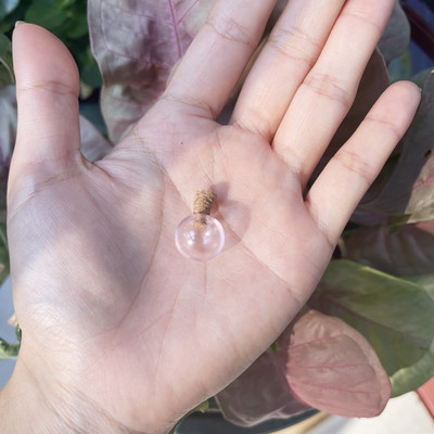 5 X mini krāsu spuldzes globuss, stikla burbulis, apaļa bumba ar korķi, DIY, dobi stikla lodītes, flakonu piekariņi, atslēgu piekariņi, rotaslietas.