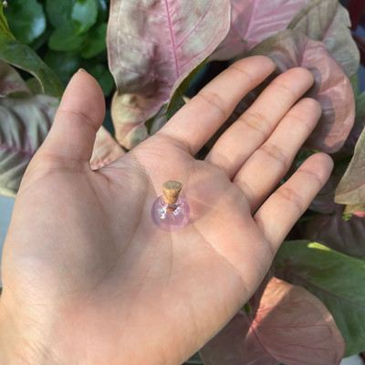 5 X mini krāsu spuldzes globuss, stikla burbulis, apaļa bumba ar korķi, DIY, dobi stikla lodītes, flakonu piekariņi, atslēgu piekariņi, rotaslietas.