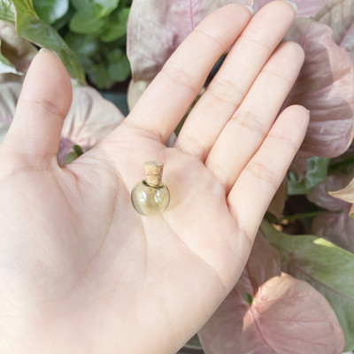 5 X mini krāsu spuldzes globuss, stikla burbulis, apaļa bumba ar korķi, DIY, dobi stikla lodītes, flakonu piekariņi, atslēgu piekariņi, rotaslietas.